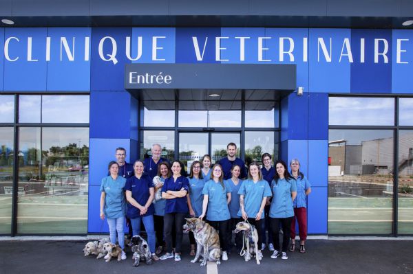 veterinaire Le Mans infinivet